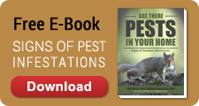 Signs of Pest Infestations E-Book