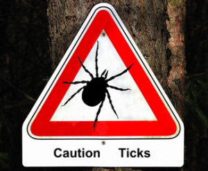 caution ticks