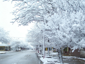 Winter for insects