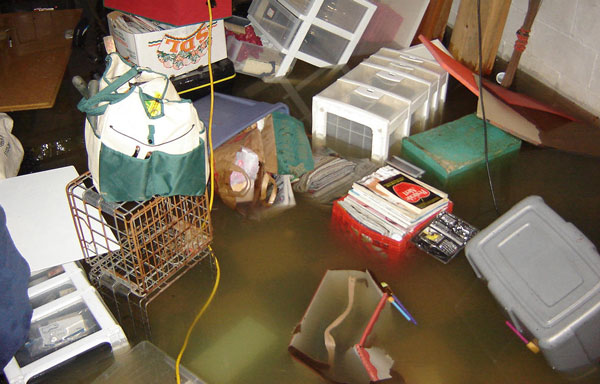 Basement flood pest control