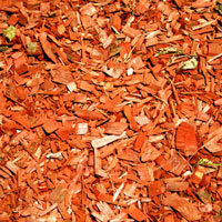 Rethinking mulch at your home because of insects
