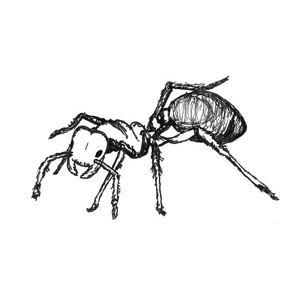 Fire ant drawing