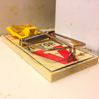 Set mouse trap baited with peanut butter