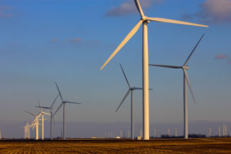 bats may mistake wind turbines for trees