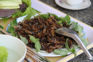 insects as food