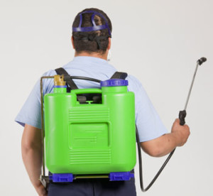 man geared up for home pest control