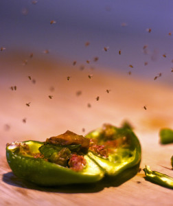 fruit flies swarming a fig