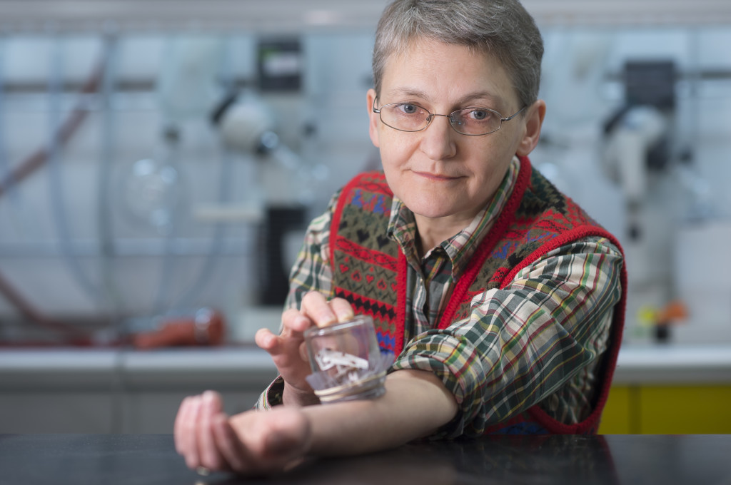 bed bugs biting Biologist Regine Gries