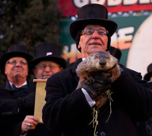 Punxsutawney Phil