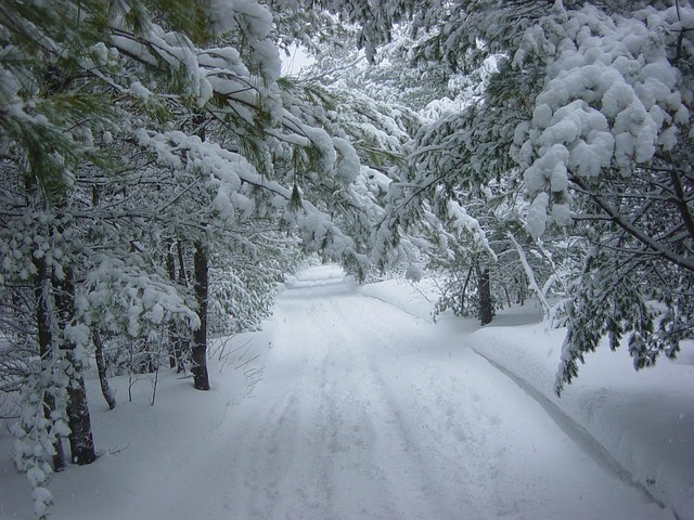 winter's here - snowy road