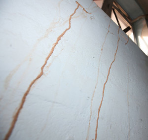 Termite tubes running up a basement wall