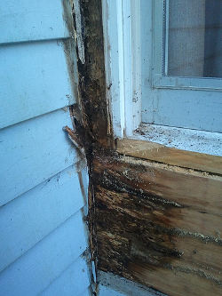 Wood rot on windowsill