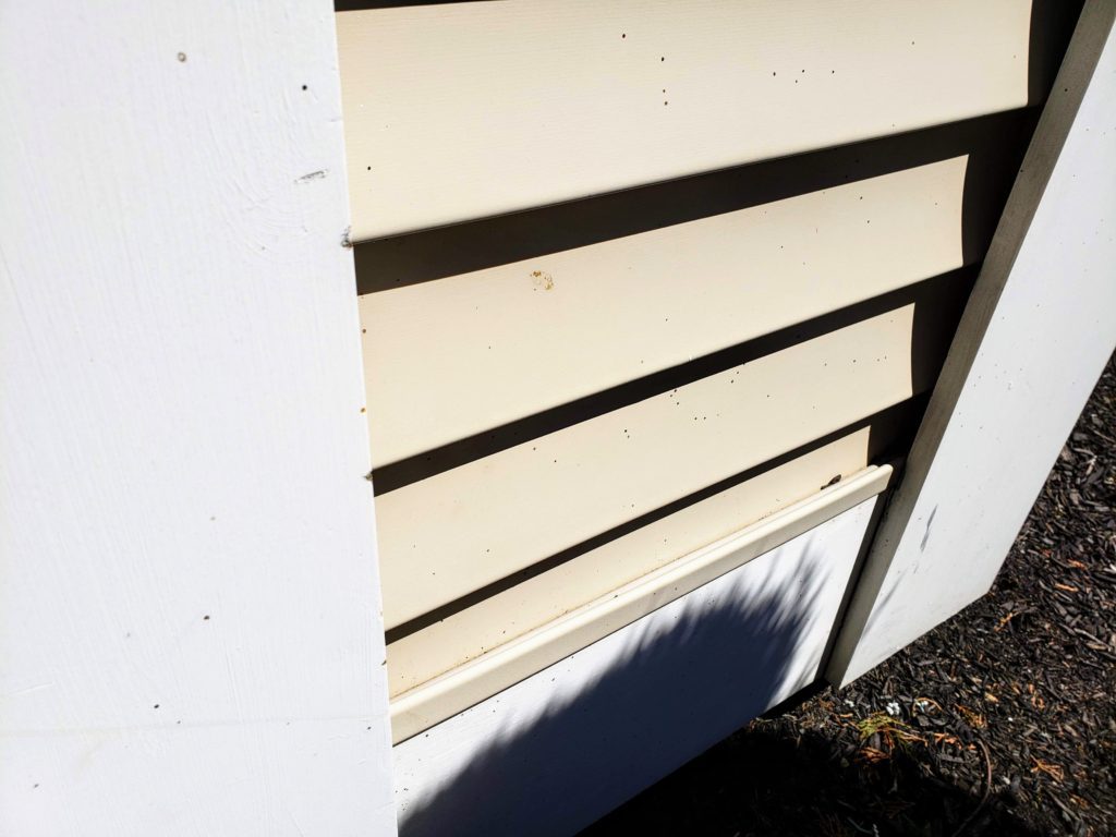 ARTILLERY FUNGUS CAN STAIN HOMES AND CARS