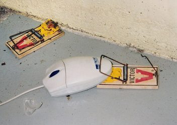 https://www.colonialpest.com/assets/640px-Computer_mouse_trap-352x248.jpg