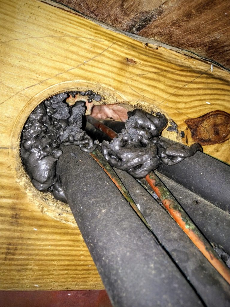 How Are Mice Getting Into My House?