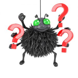 black-insect