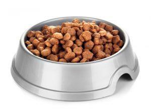 dog-food