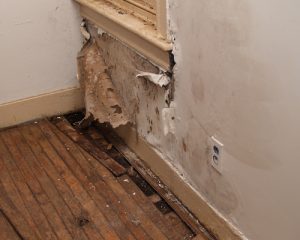 mold-damage