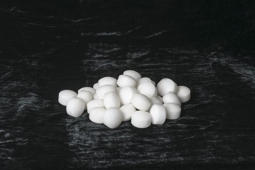 Do Mothballs Repel Animals Colonial Pest Control
