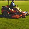 Mowing your lawn regularly helps remove millipedes.