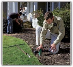 termite baiting-Sentricon