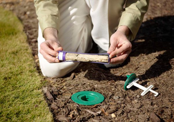 termite control using the Always Active Sentricon Bait System to Eliminate colonies