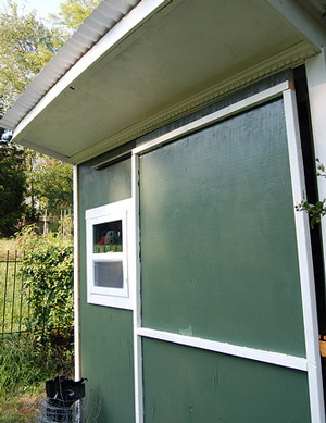 Infestation in wood shed