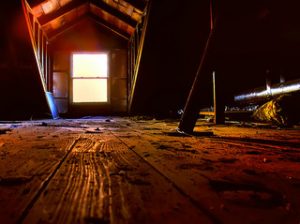 Pests in the Attic